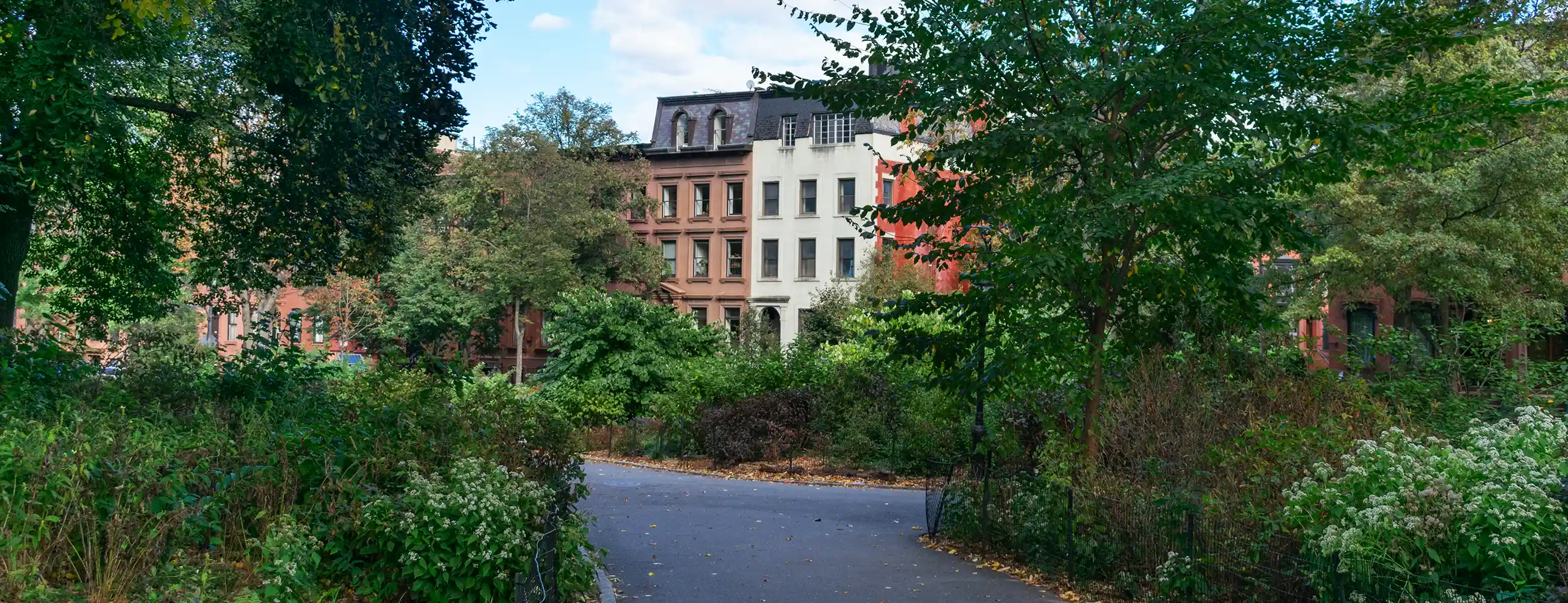 Colorful townhouses peaking through path in Fort Greene park