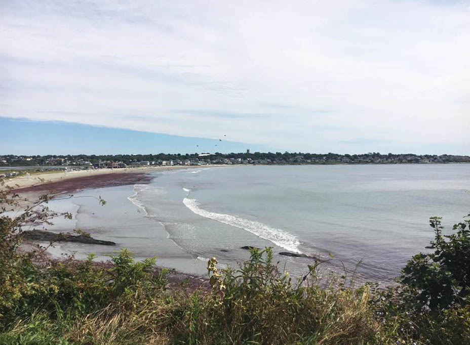 Newport Coastline