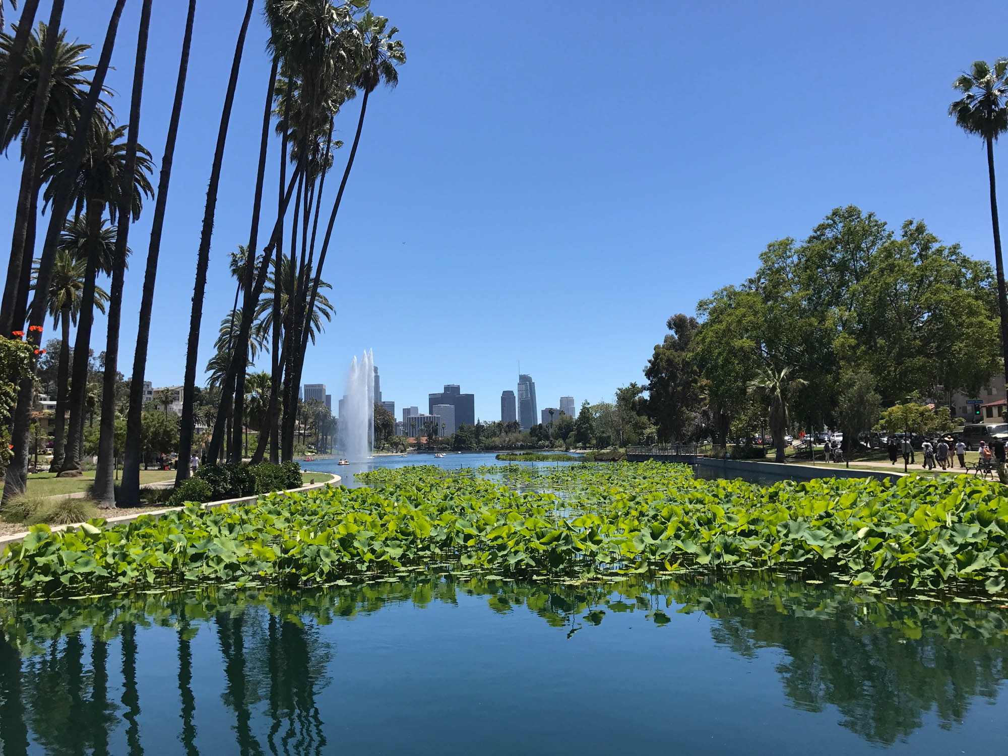 Echo Park Lake