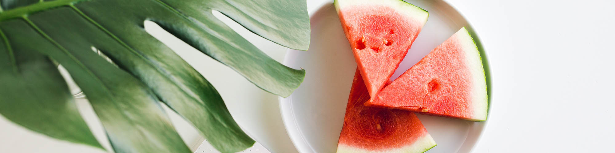 Watermelon Slices and Large Leaf