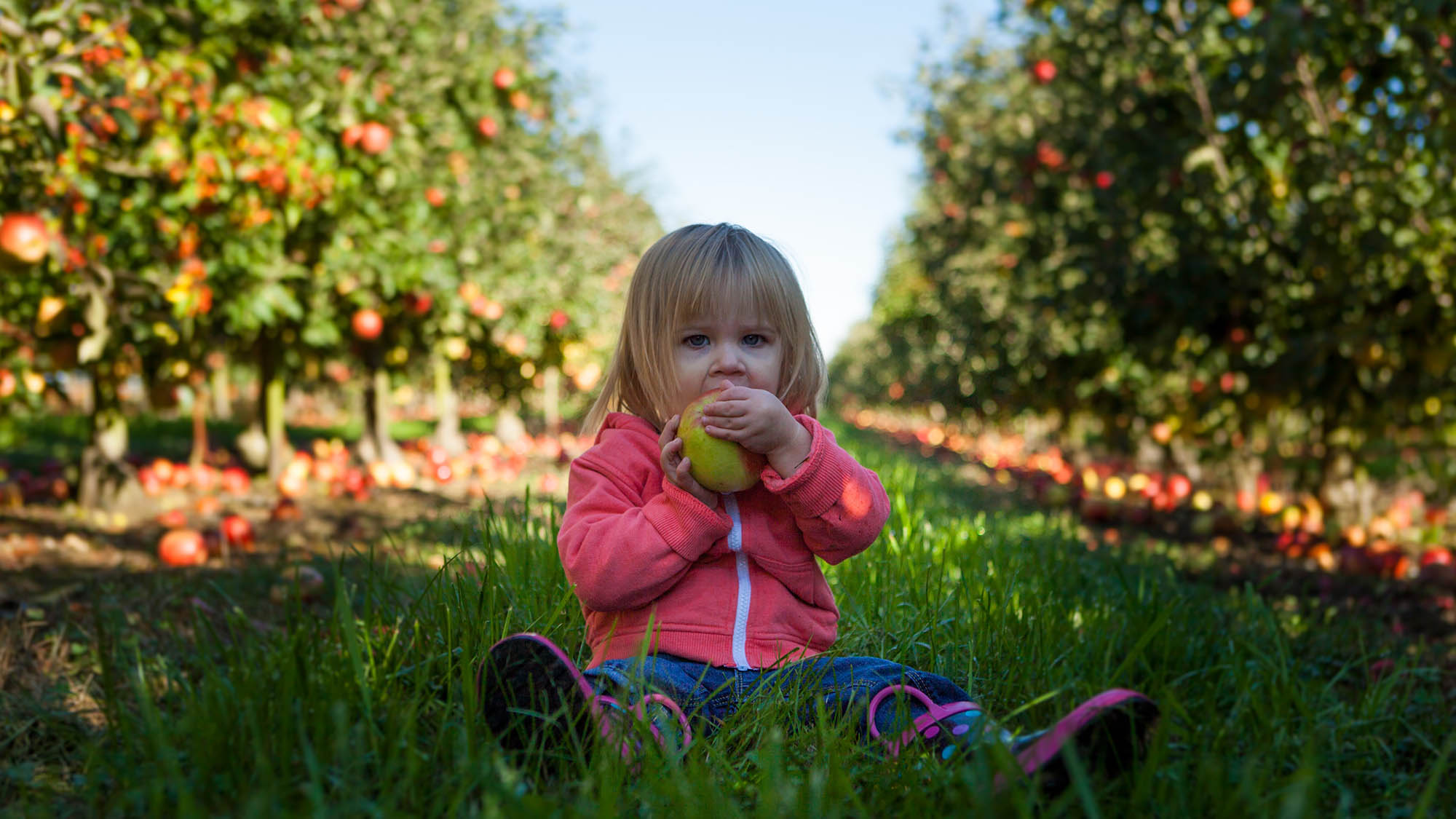 Girl Eating Apple at Orchard