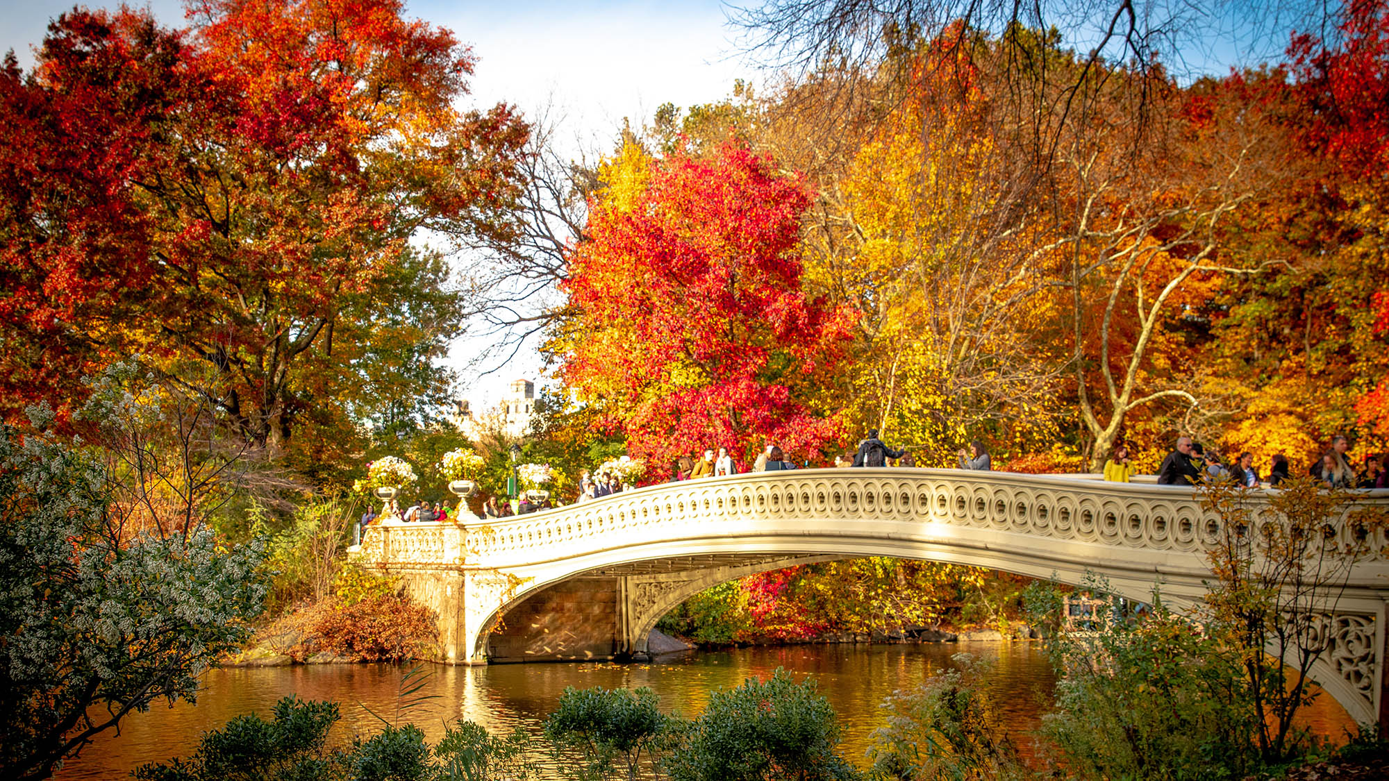 Garfield Realty » Ultimate Fall Guide to New York City
