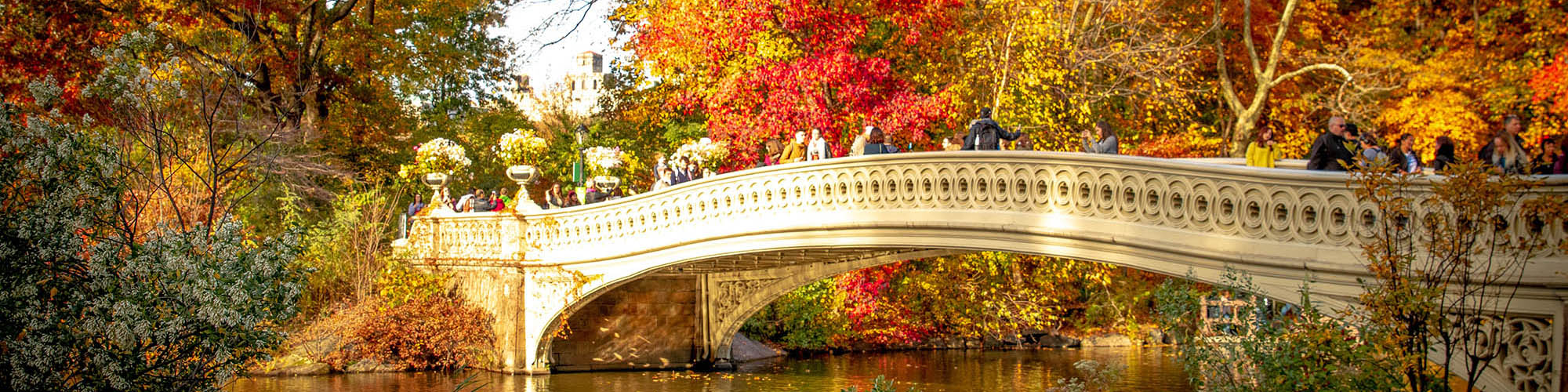 Central Park Bridge Fall Leaves