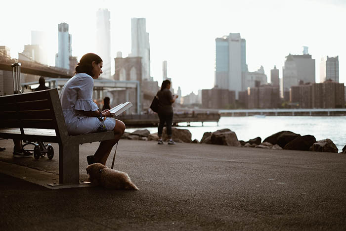 Woman Sitting on Bench with Dog Overlooking Brooklyn