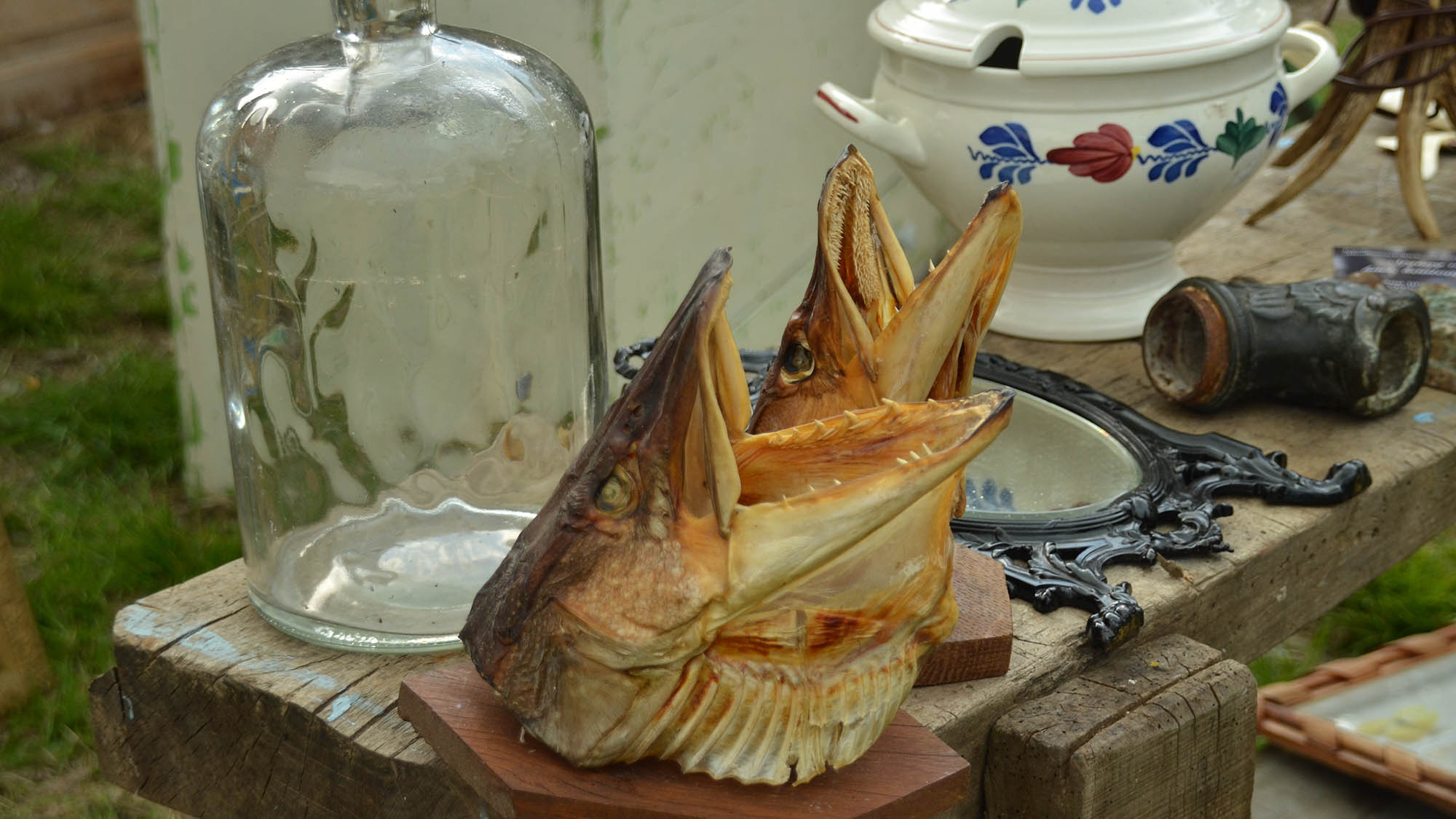 Fish Head Oddities