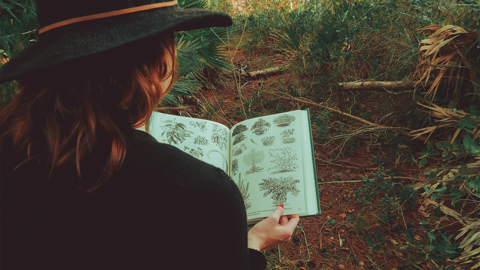 Woman Outside Holding Plant Book From Back