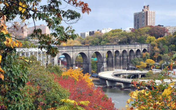 Highbridge Park Bridge and Trees