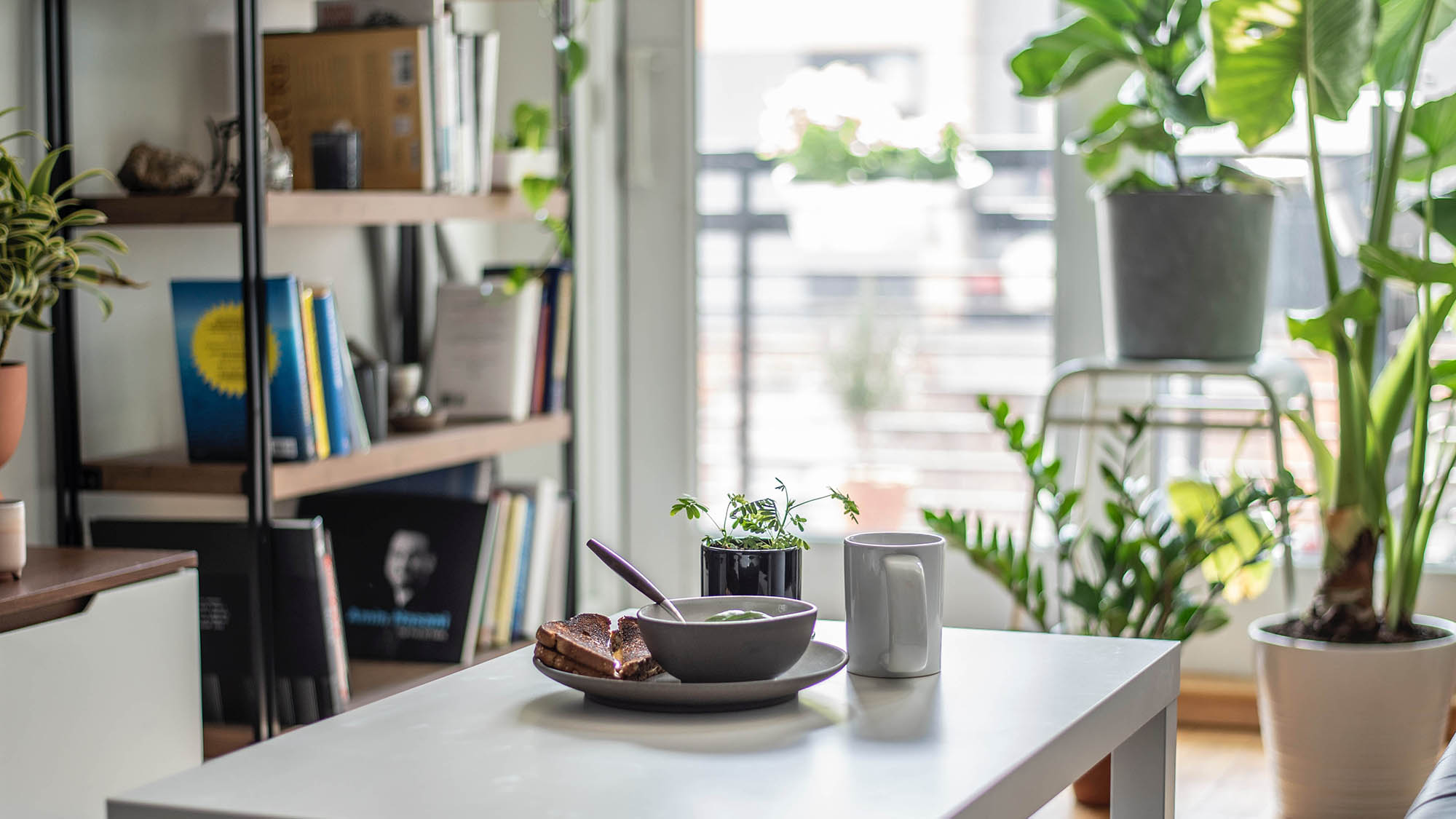 Table with Grilled Cheese and Soup on it with Bright Plant Window in Background