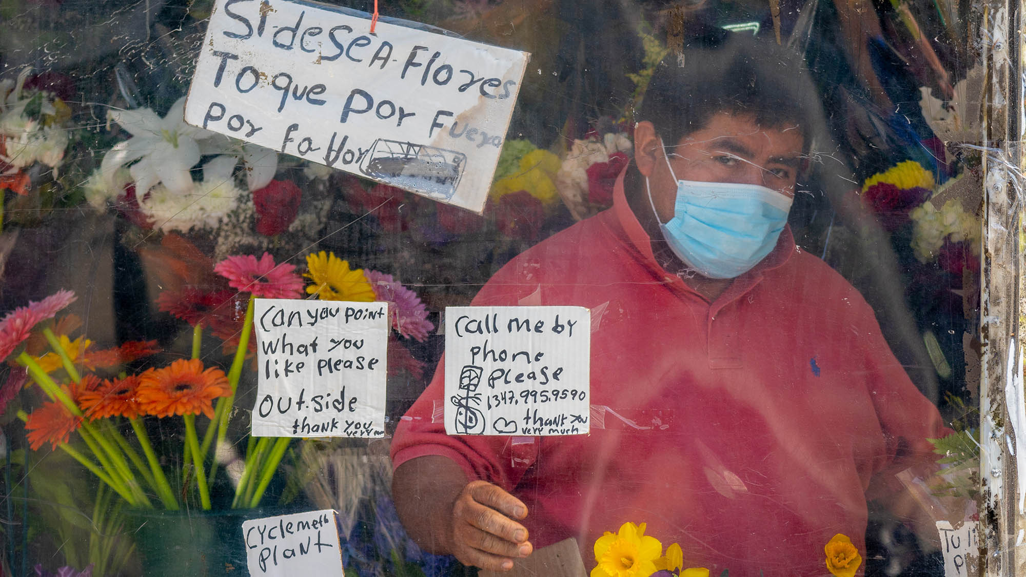 Masked man behind plant window selling flowers in Brooklyn