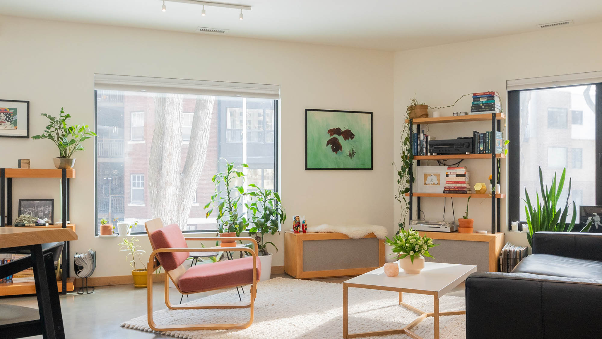 Sunny furnished living room full of plants