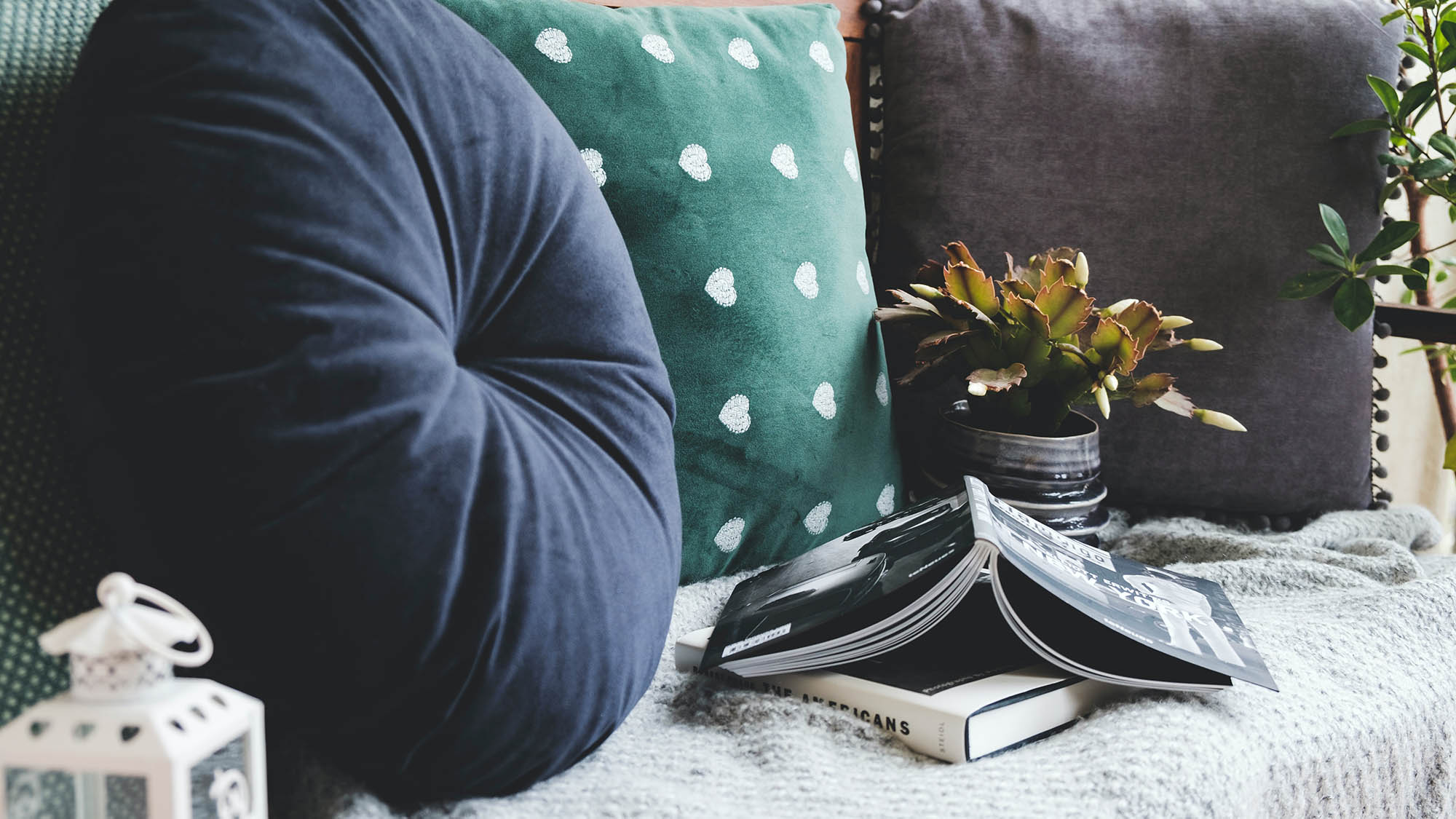 Reading nook with pillows books and plants