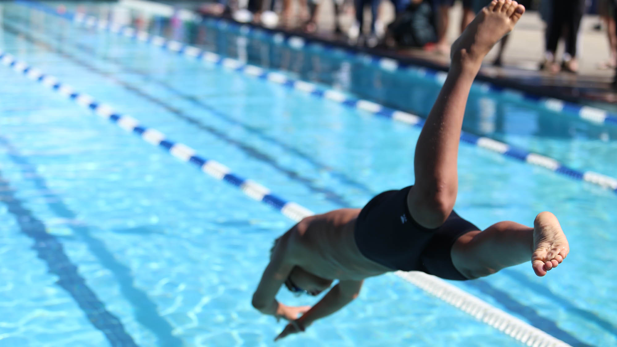 Boy diving into swimming pool lane