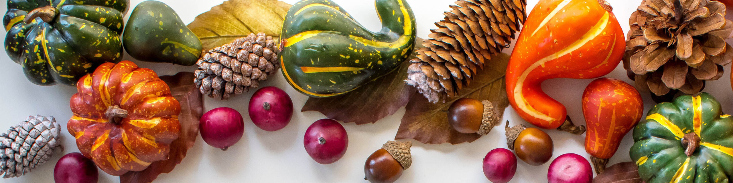 Assorted squash pumpkin acorns and pinecones on white table