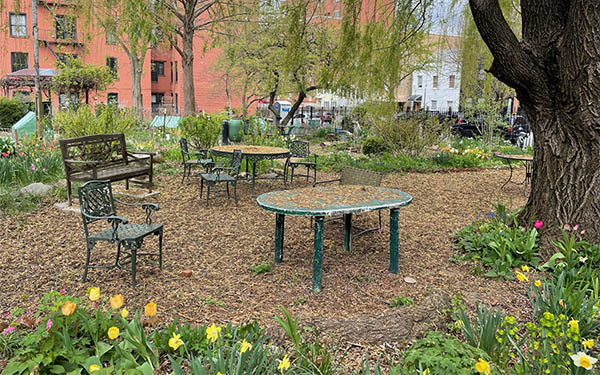 Urban garden with table and char amid yellow flowers and tree trunk