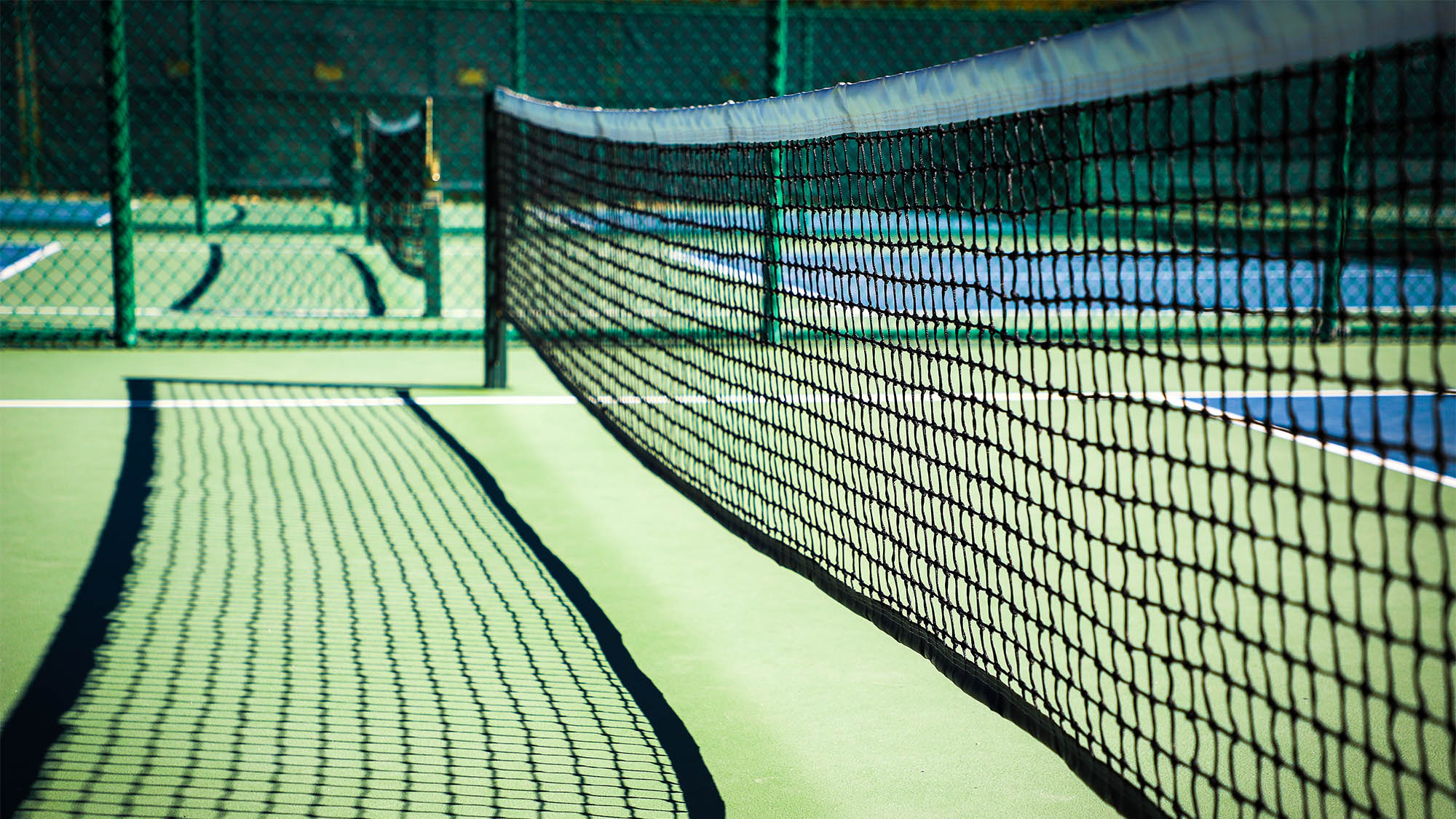 Empty pickleball courts and nets closeup
