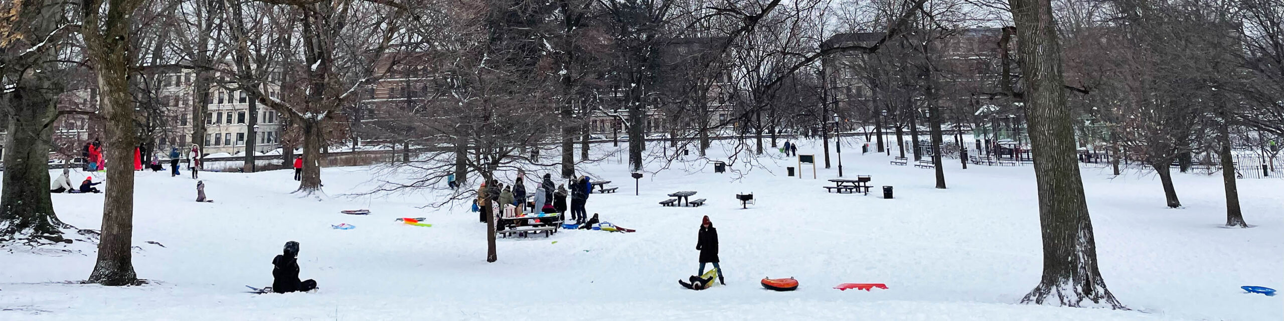 People sledding in Prospect Park Brooklyn snow