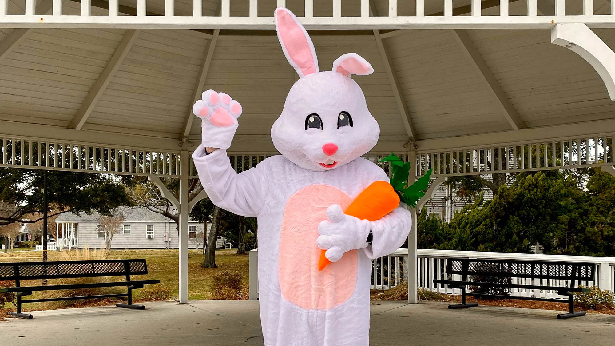 Person in Easter Bunny costume waving and holding large toy carrot