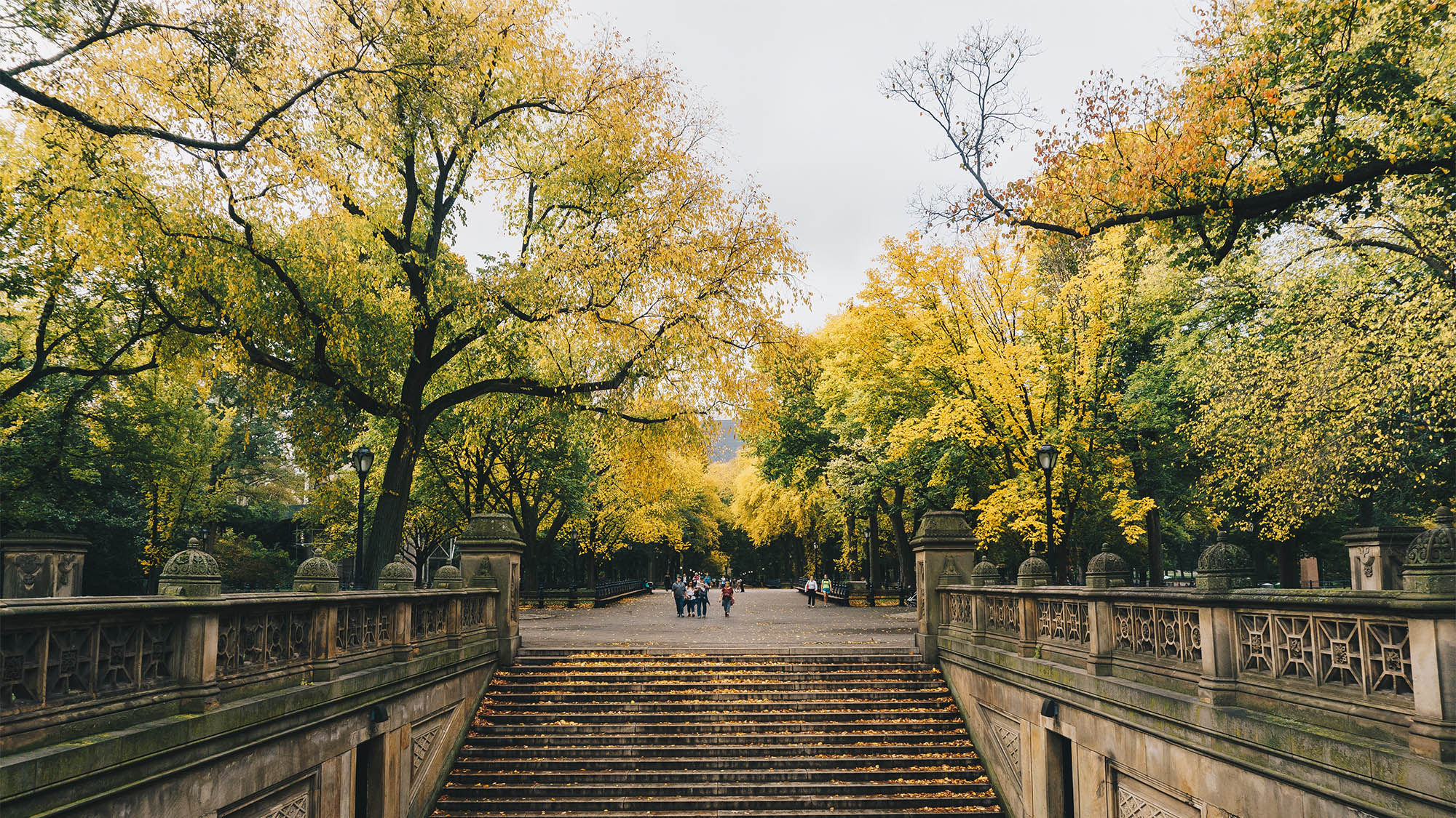 Central Park stairs flanked by trees with green and yellow leaves