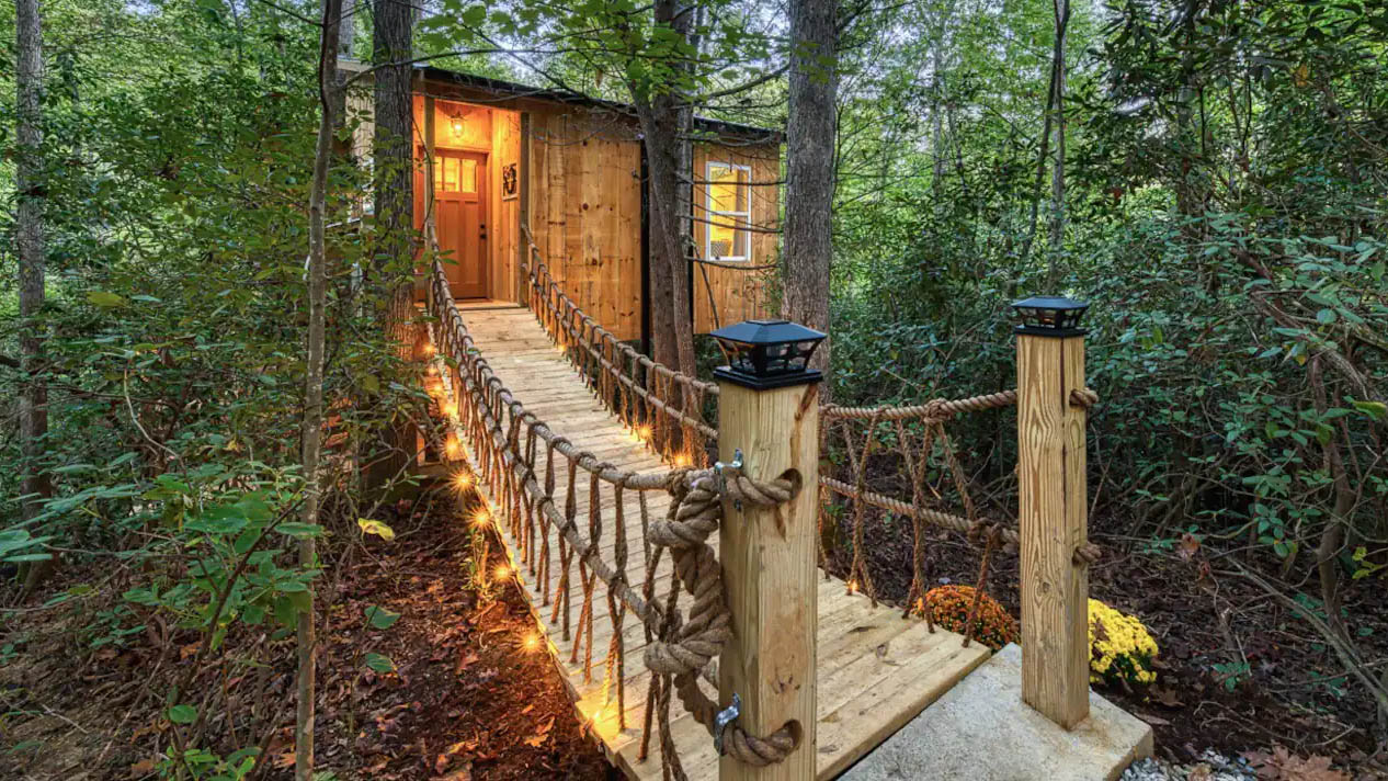 Exterior vacation home tree house style with rope bridge leading to front door and trees in background