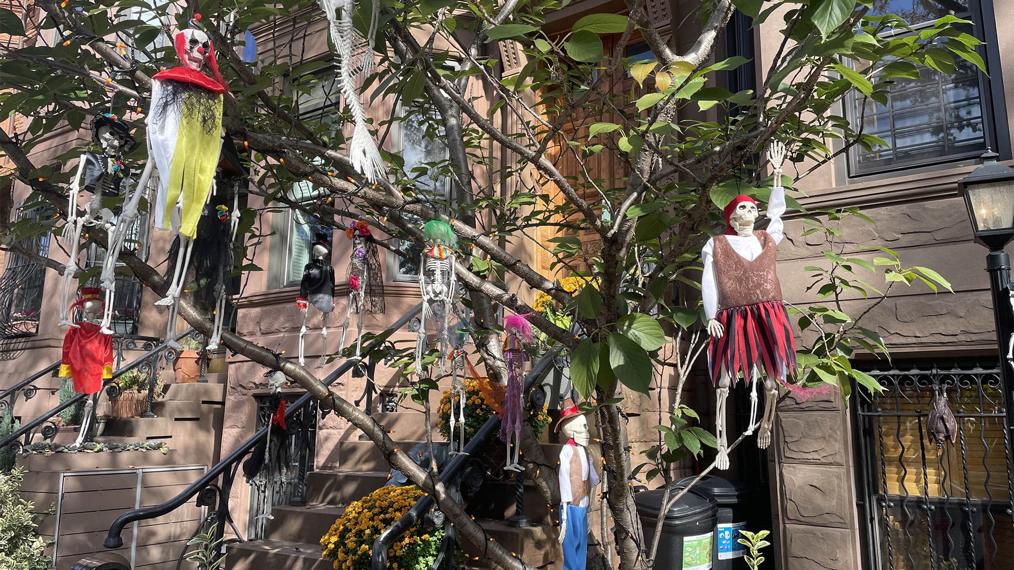 Small pirate and clown decorations hanging in tree