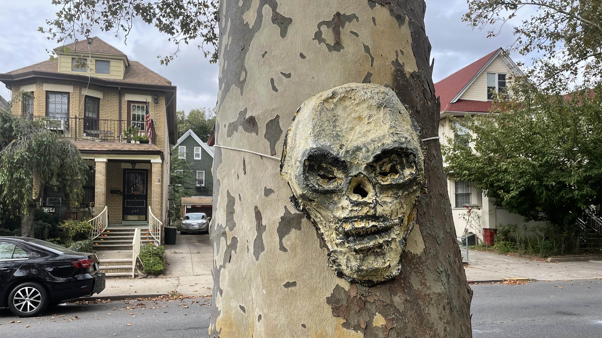 Handmade skull mask on tree trunk