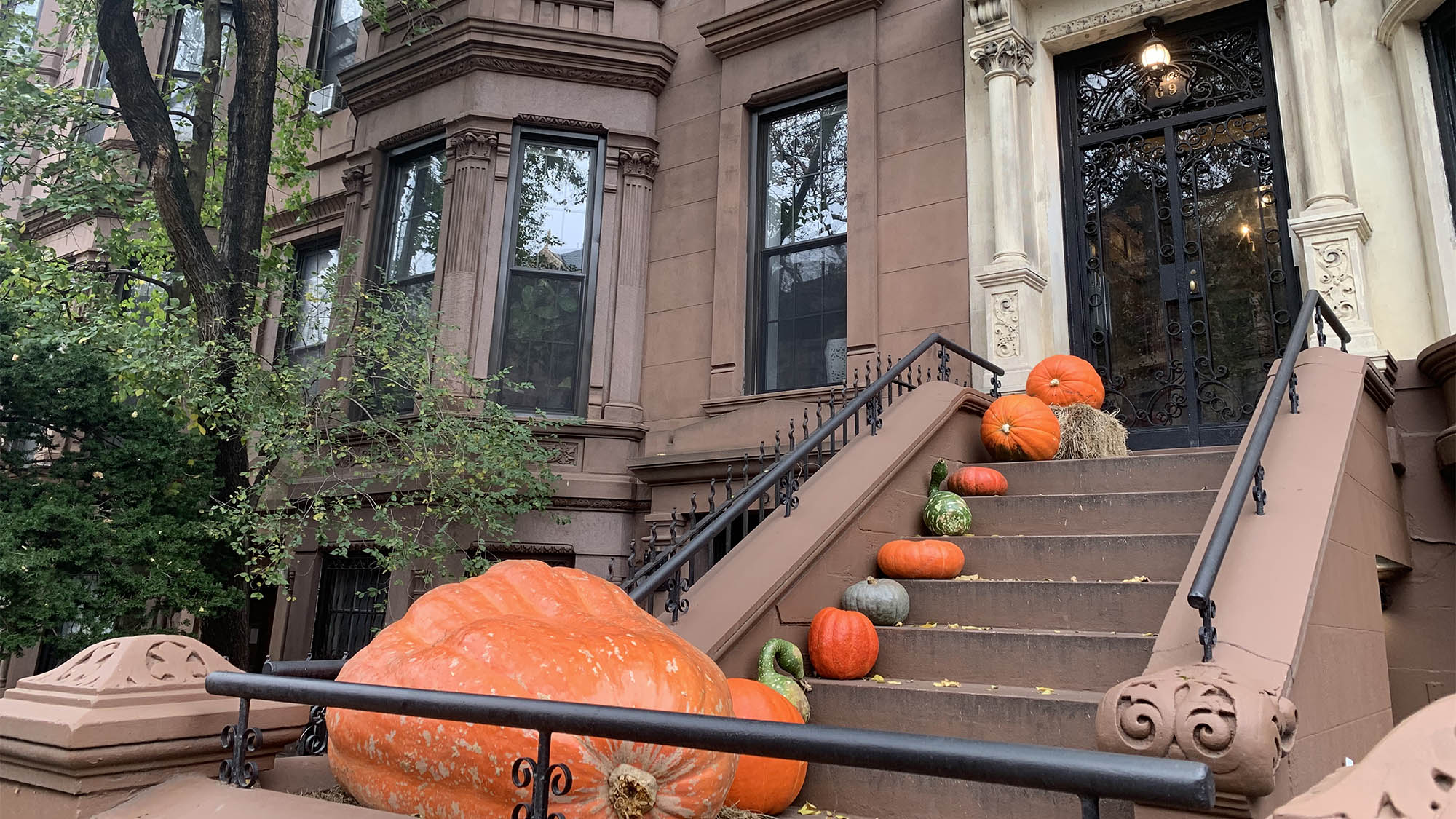 Tiny and huge pumpkins on Brooklyn stoop