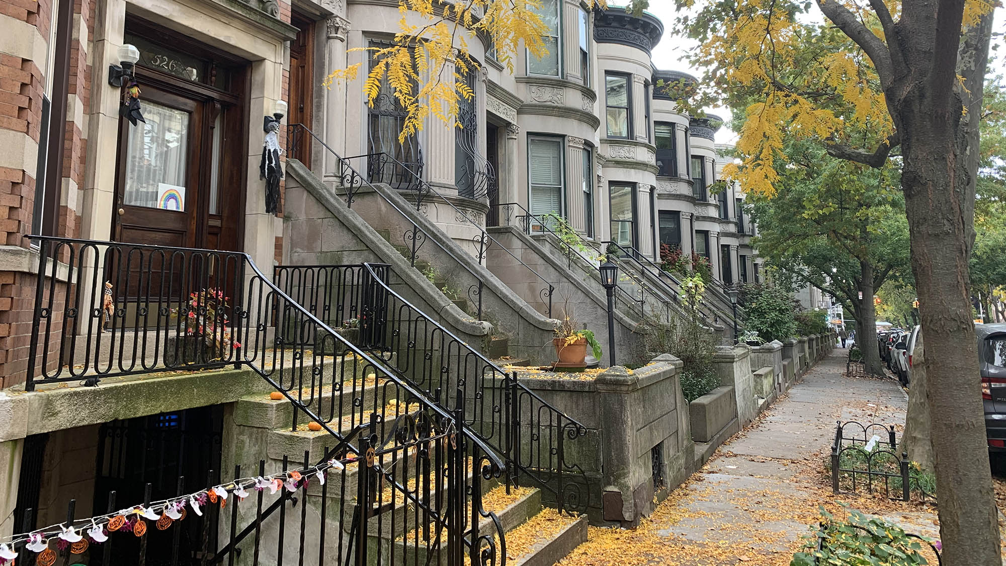 Yellow fallen leaves on Brooklyn stoop