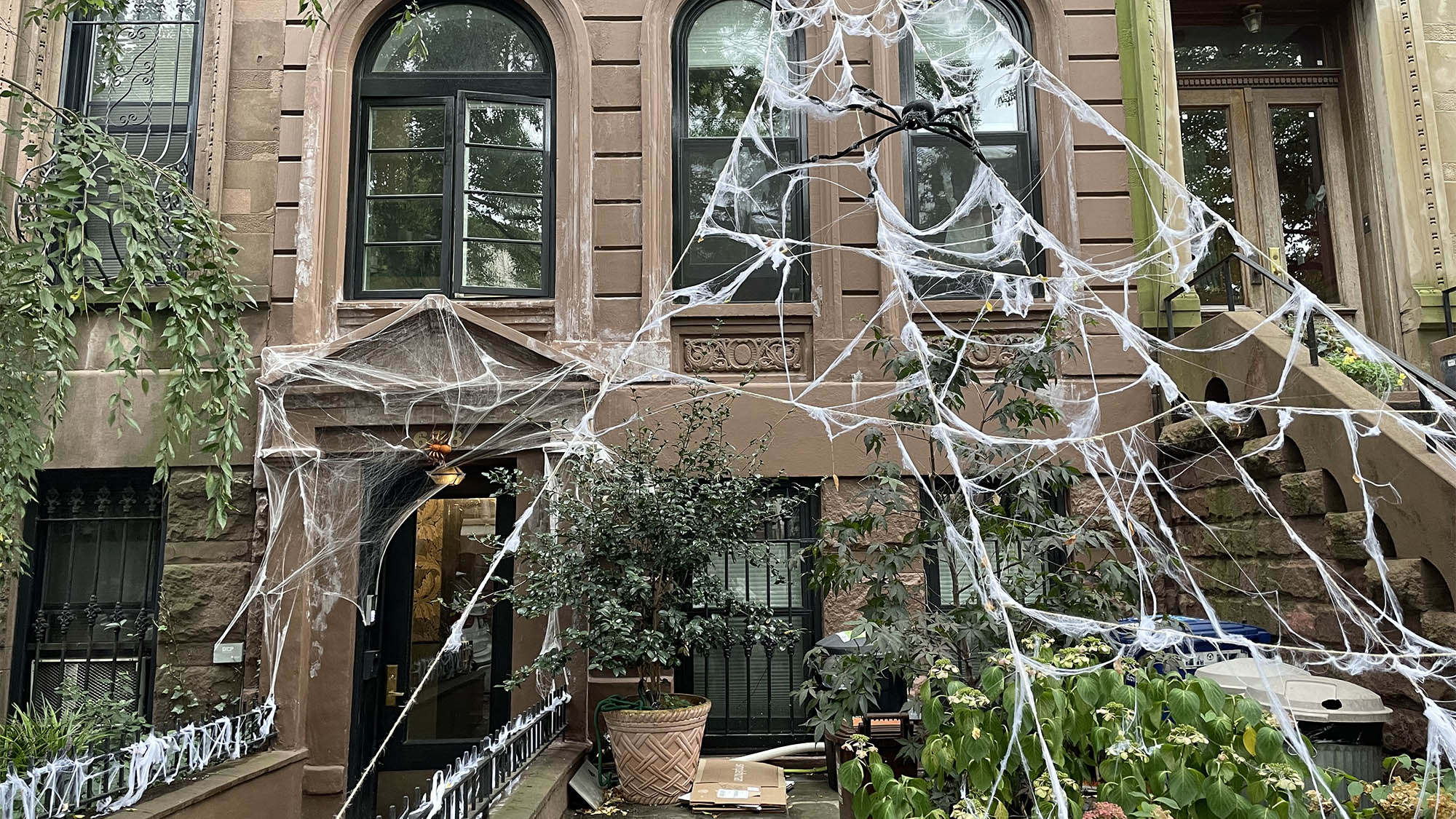 Large spider and web decorations over Brookyln brownstone