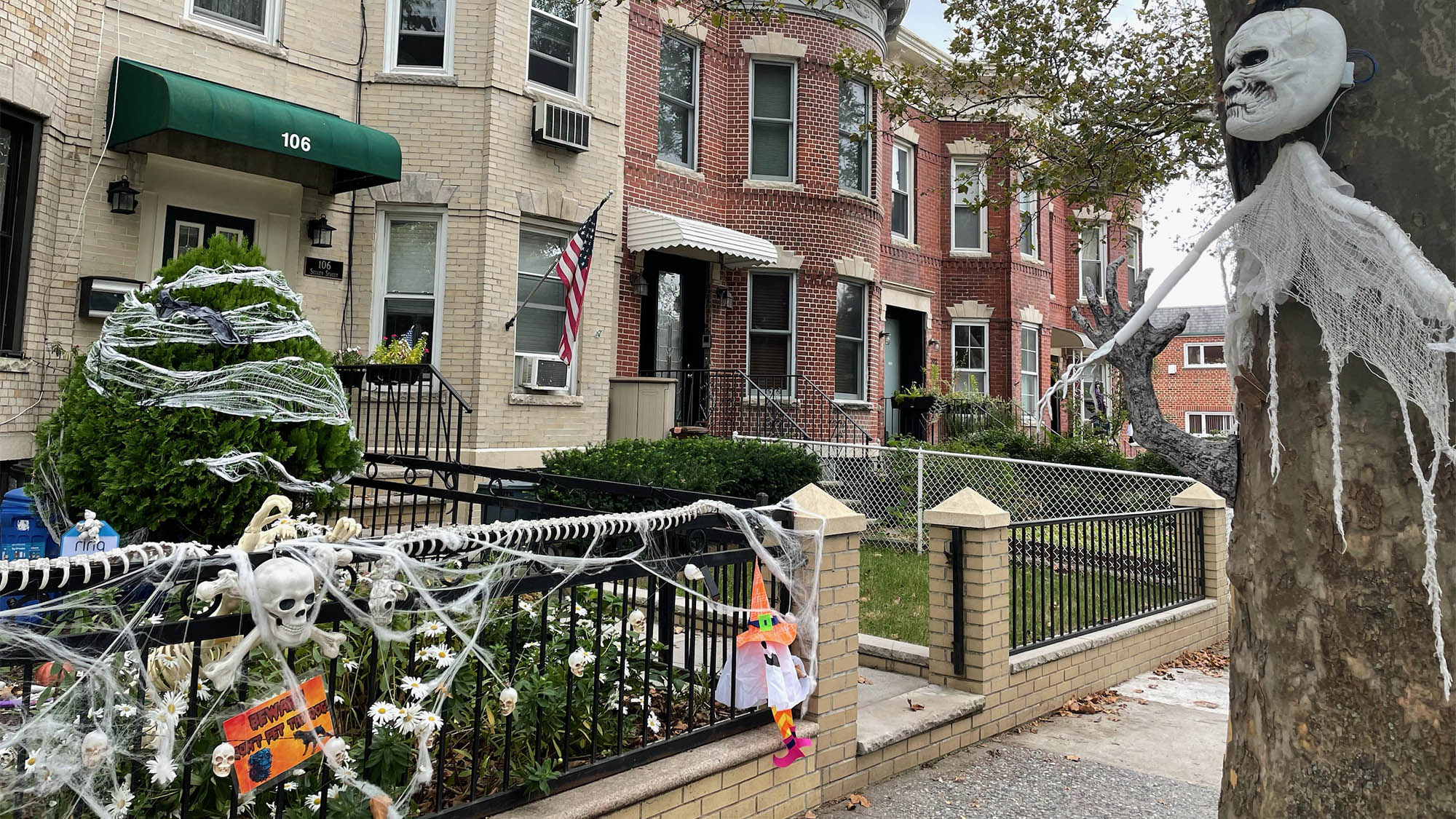 Skeleton decoration on Brooklyn tree across from houses with spider web decor