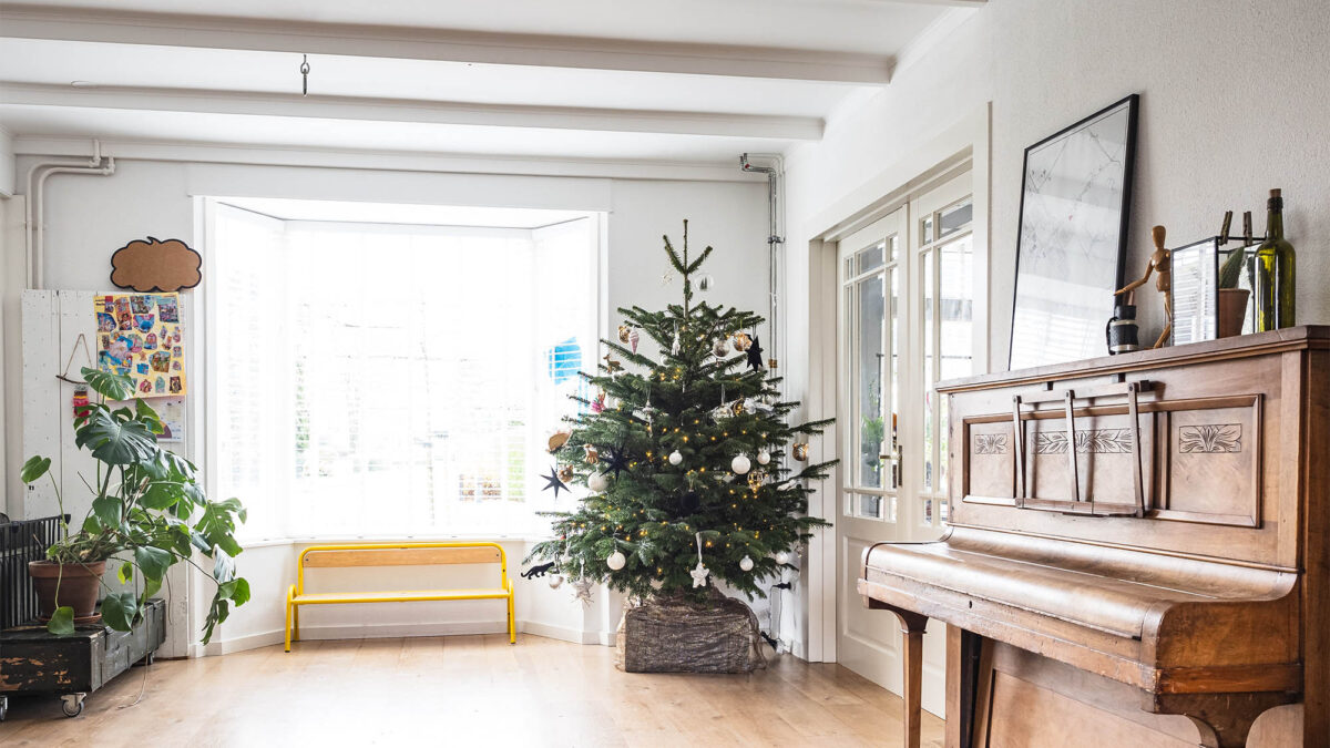 Living room window flanked by plant and Christmas tree with piano on near wall