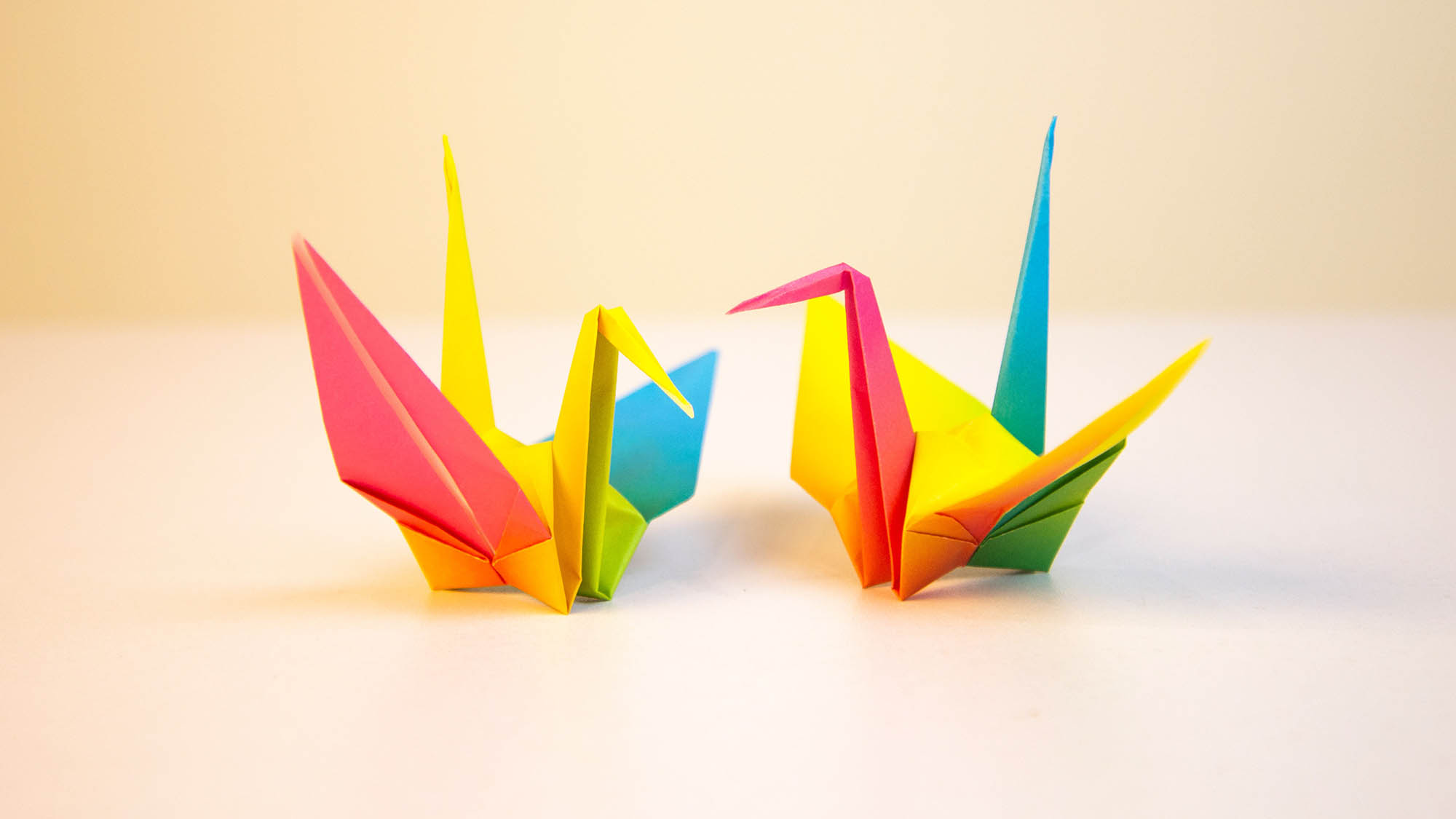Two rainbow origami cranes