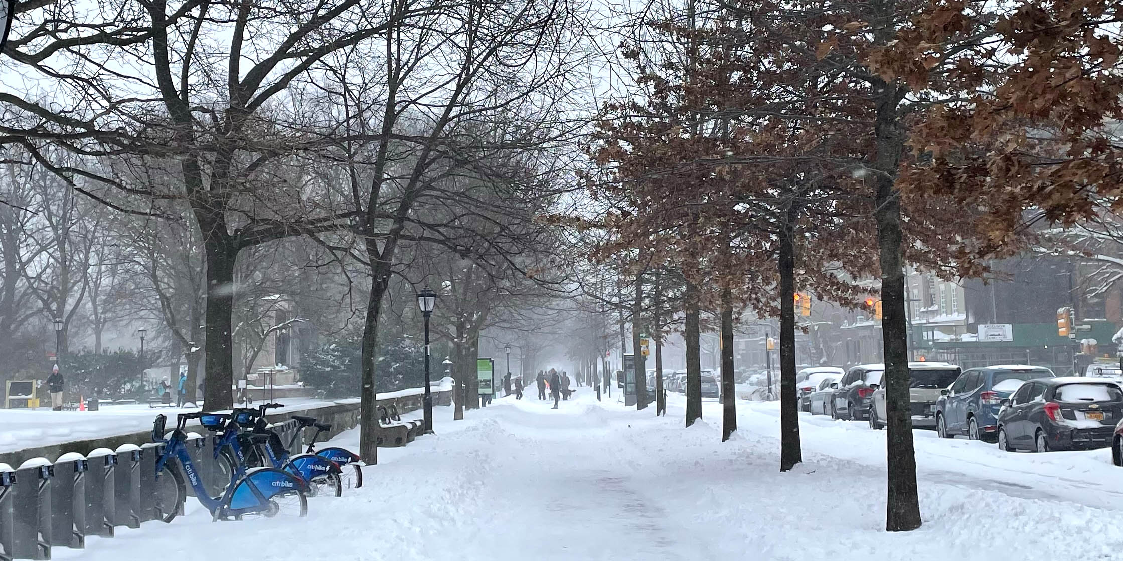 Brooklyn snowfall covering sidewalk bordered by trees