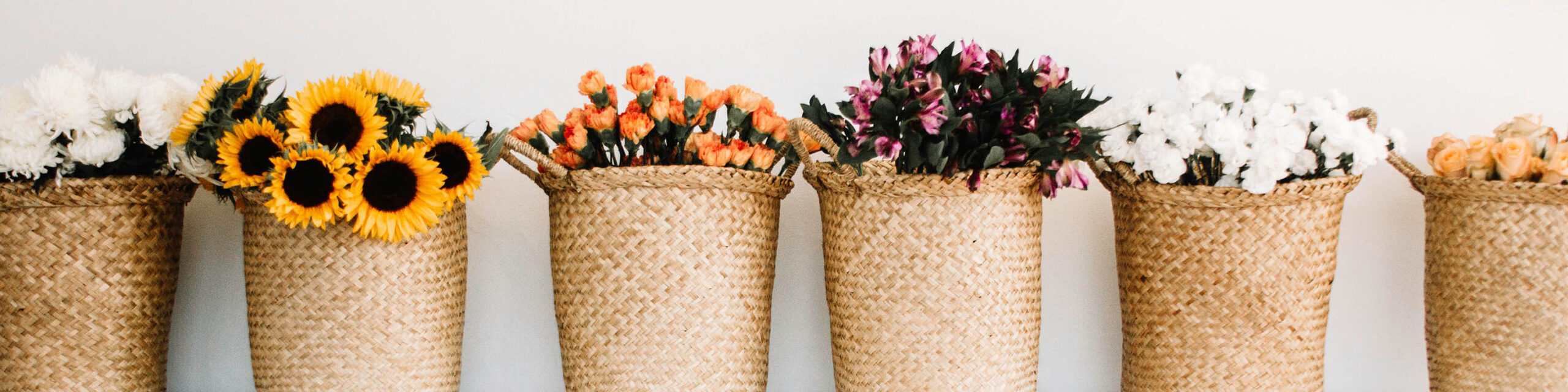 Row of deep brown flower baskets each holding a different flower variety