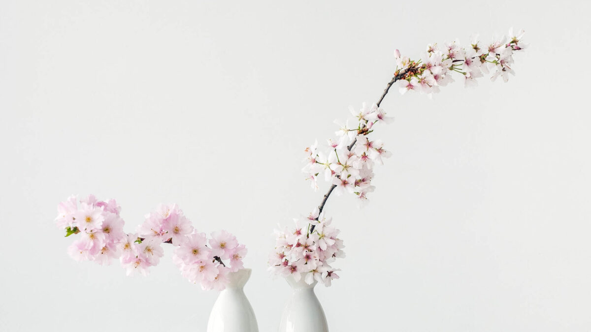 Small pink and white flowers in two white vases 