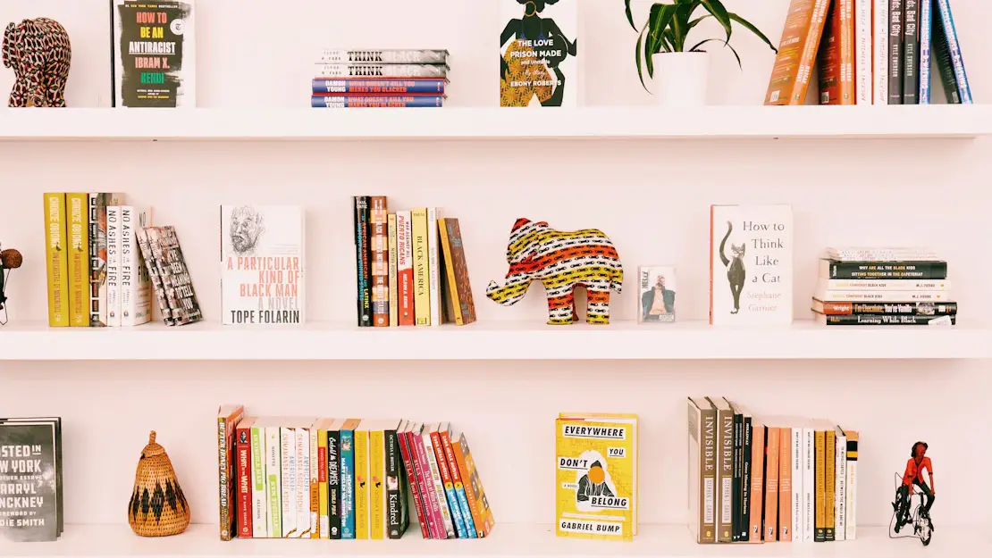 Bookshelves and trinkets on pink wall