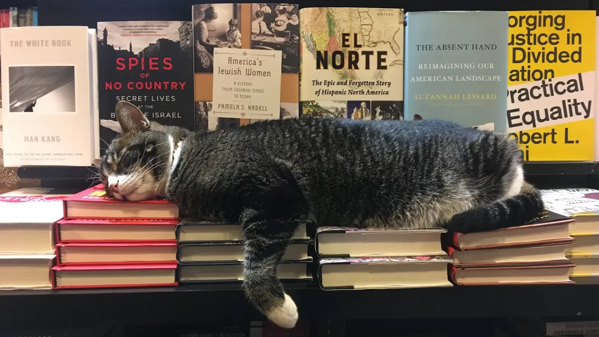 Black cat lying atop stack of books