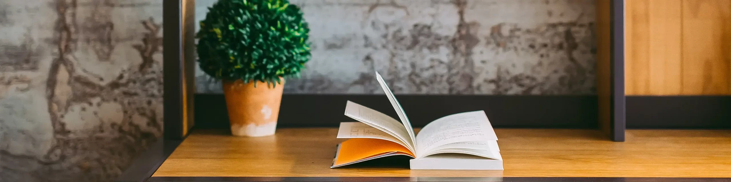 Small potted plant and open book on wood desk