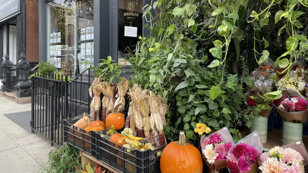 Fall pumpkin, corn and flower display at Brooklyn storefront