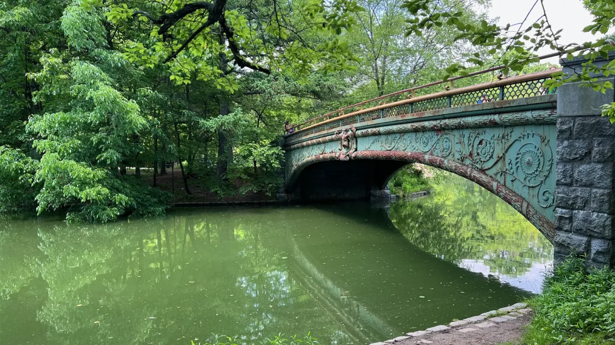 Prospect Park historic bridge over pond and green trees in background