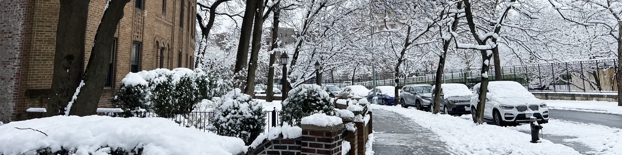 Snow-covered street in Brooklyn