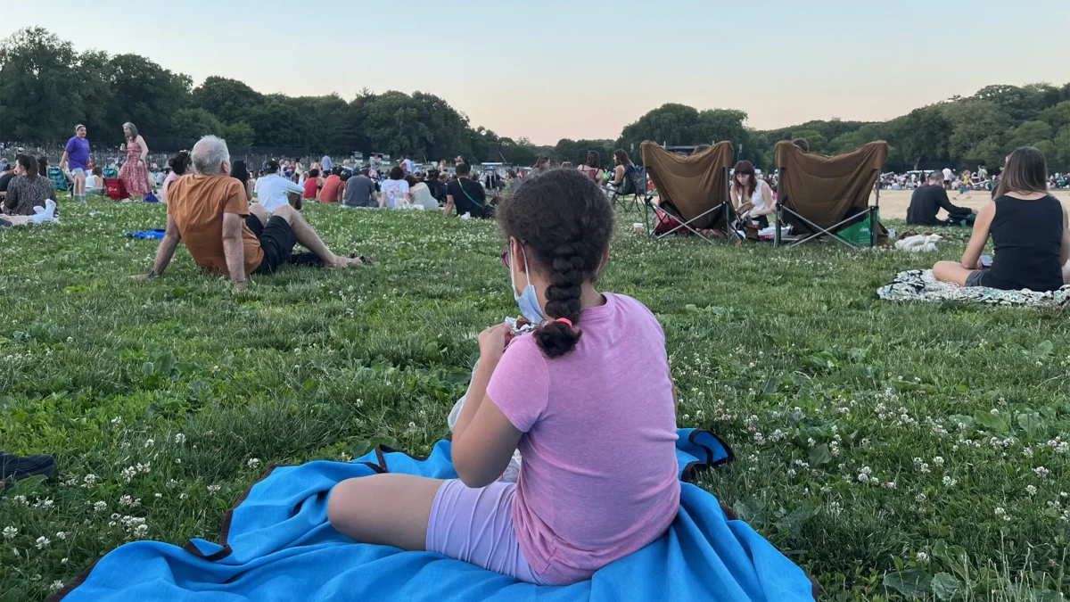 Young girl on picnic blanket with back turned to camera looking out at fellow picnickers on grass