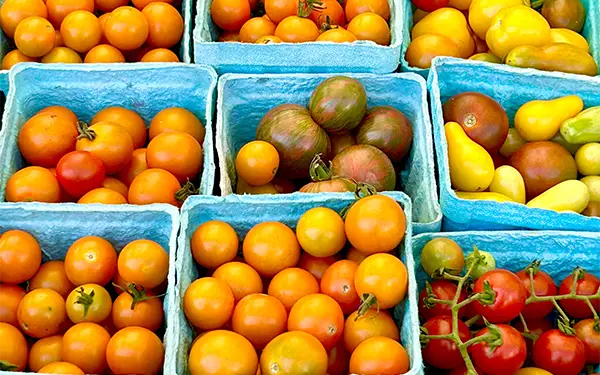 Cherry tomatoes closeup