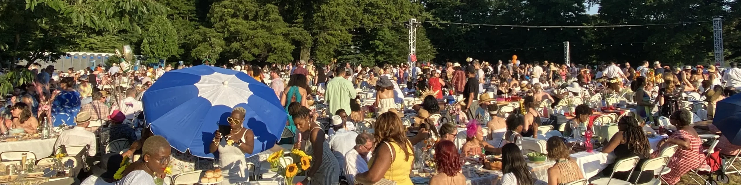 People gathered at Prospect Park Soiree