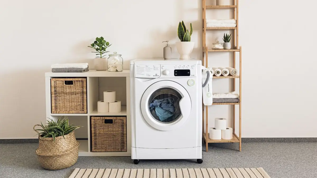 Washing machine flanked by storage shelves and plants