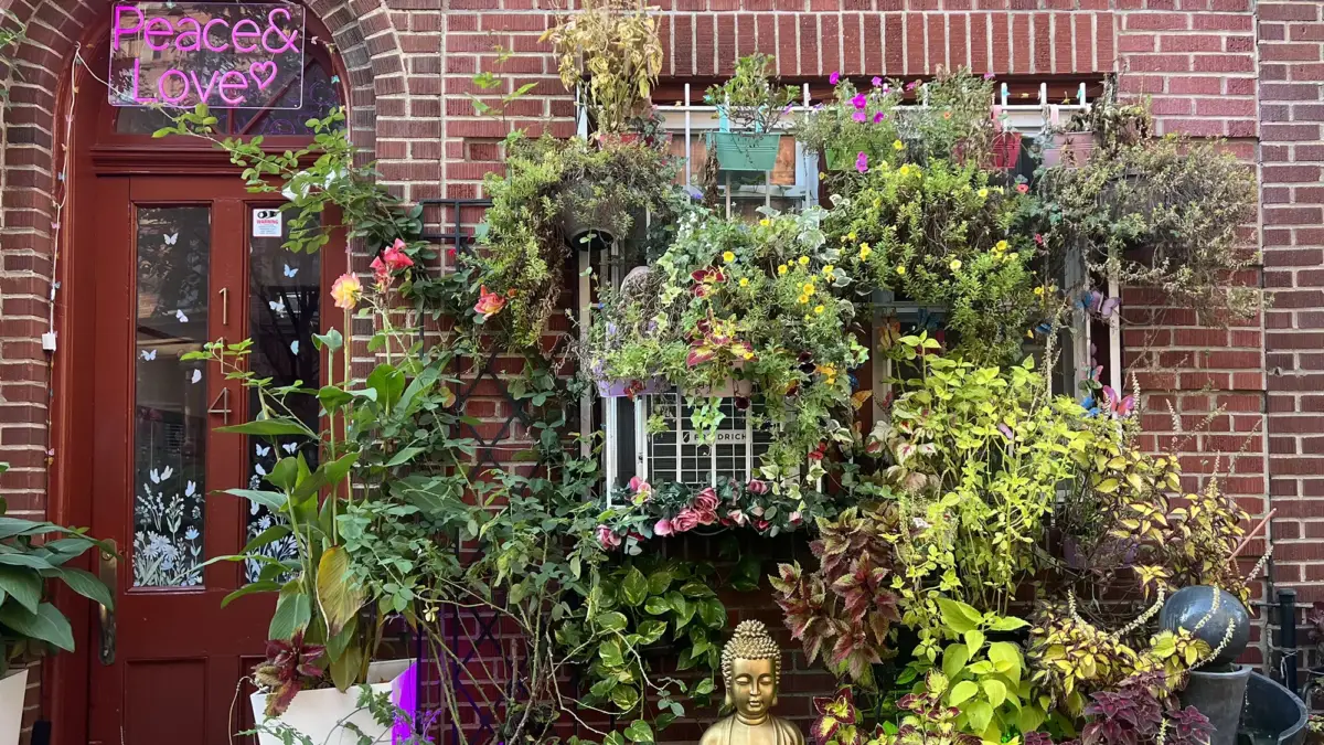 Brooklyn home garden front yard plants against brick building